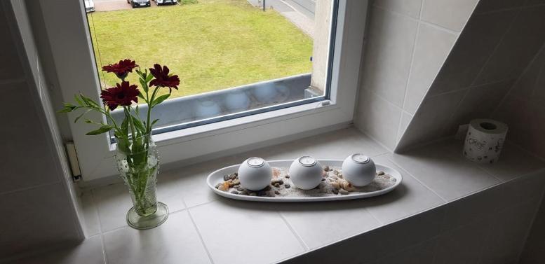 Ferienwohnung An Der Elbfaehre ドレスデン エクステリア 写真